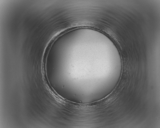 X0000062791072200512290216