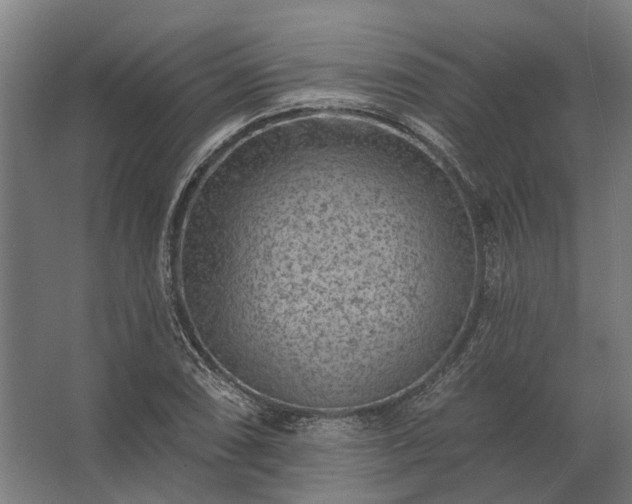 X0000062791074200512290216