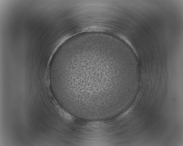 X0000062791075200512290216