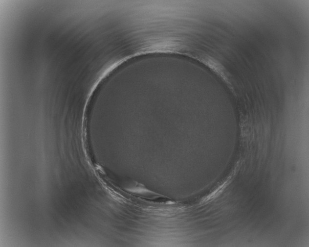 X0000062791077200512290216