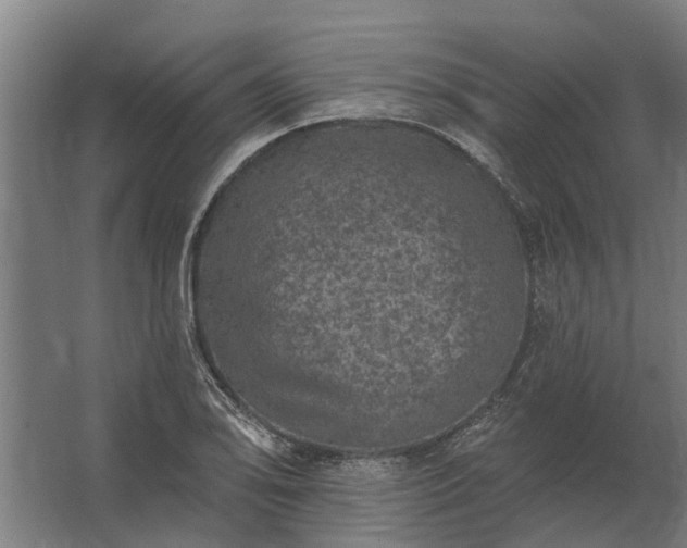 X0000062791078200512290216