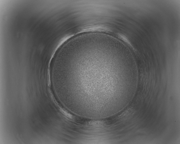 X0000062791079200512290216