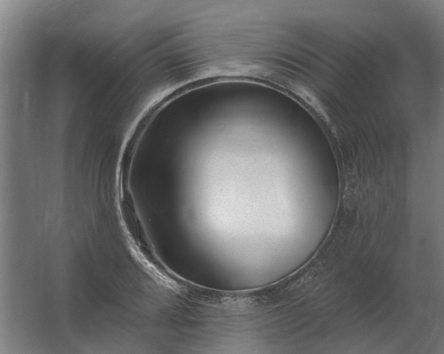 X0000062791080200512290216