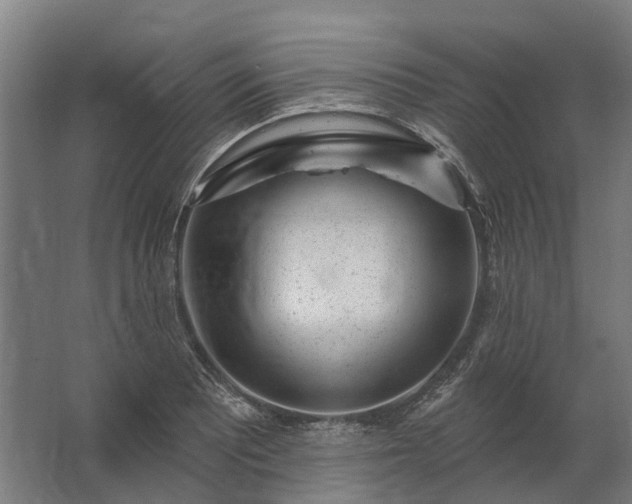 X0000062791081200512290216