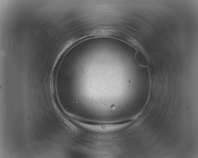 X0000062791083200512290216