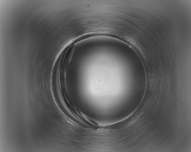 X0000062791085200512290216