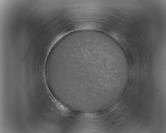 X0000062791086200512290216