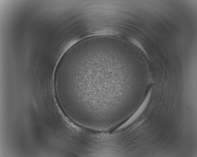 X0000062791087200512290216