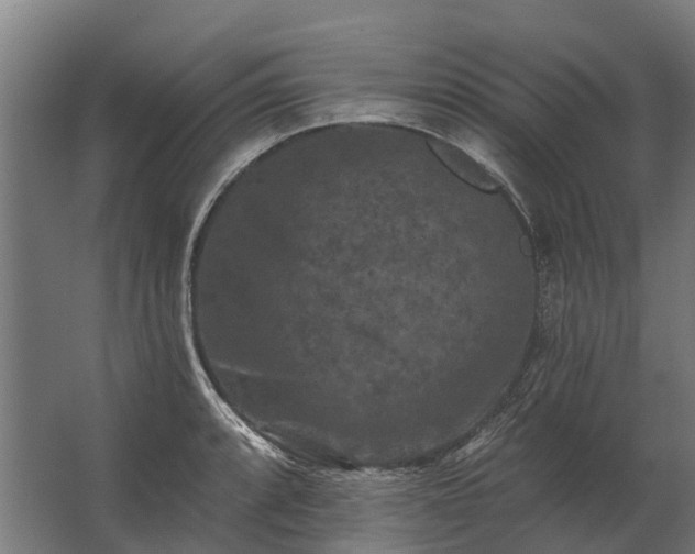 X0000062791088200512290216