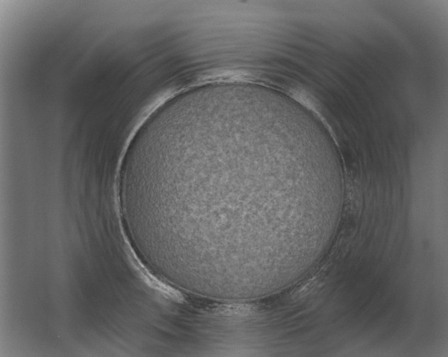 X0000062791090200512290216