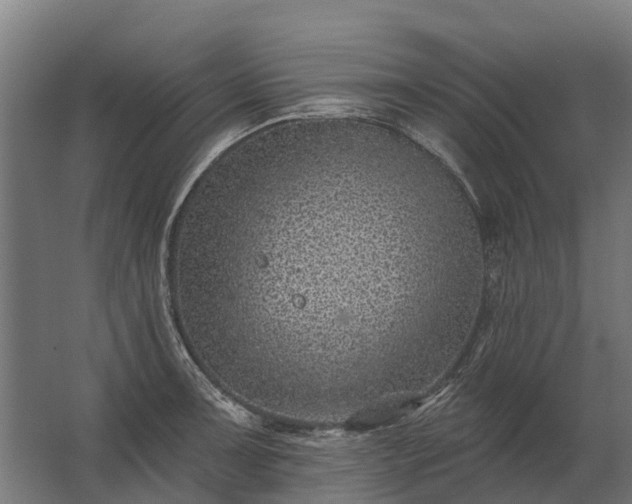 X0000062791091200512290216