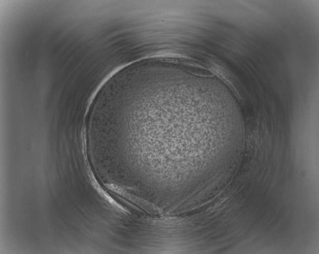 X0000062791092200512290216