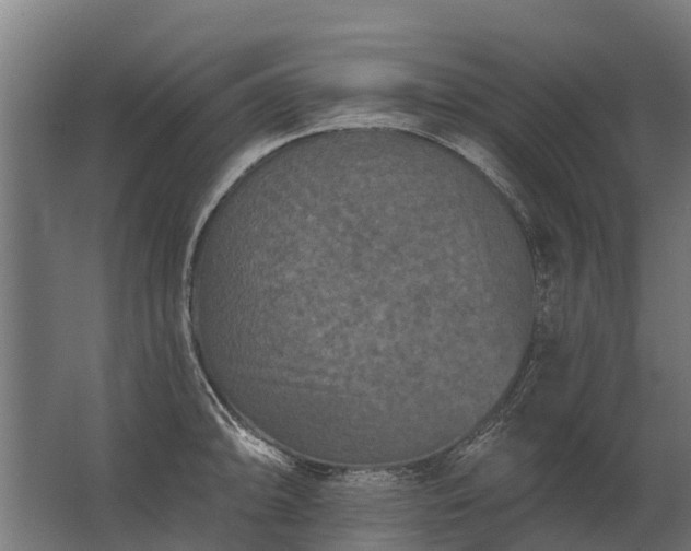 X0000062791094200512290216