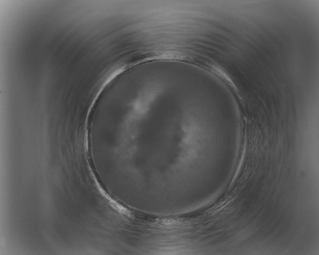 X0000062791095200512290216