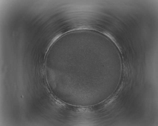 X0000062791097200512290216