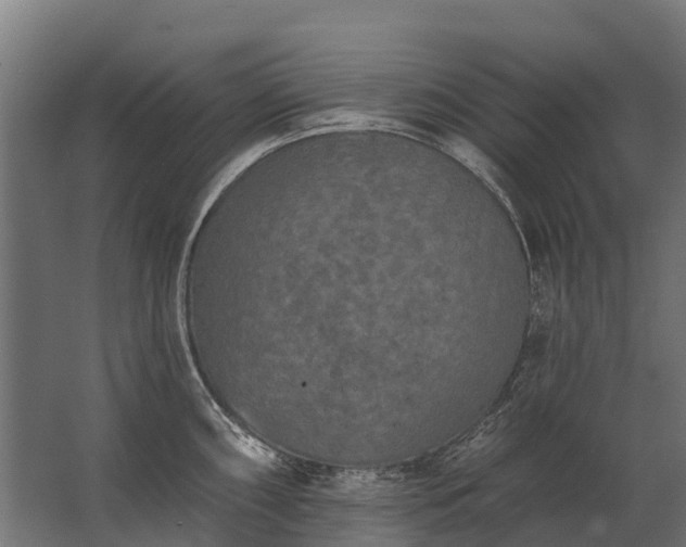 X0000062791098200512290216