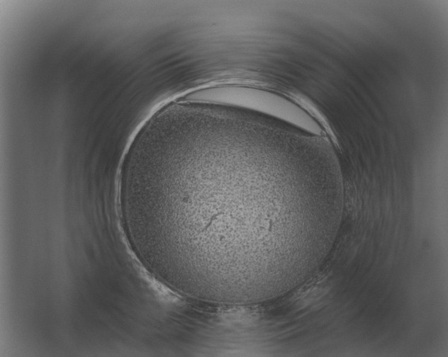 X0000062791099200512290216