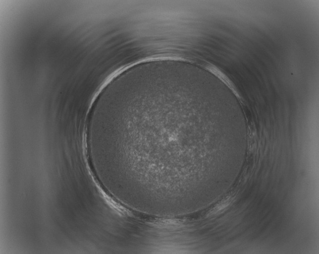 X0000062791101200512290216