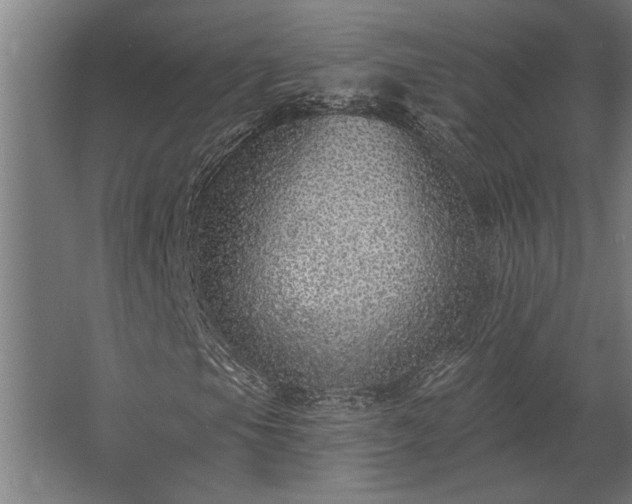 X0000062791105200512290215