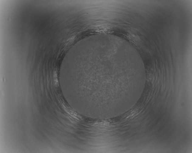 X0000062791106200512290215