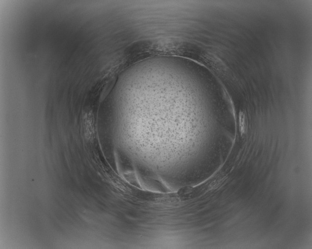 X0000062791107200512290215