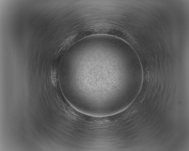 X0000062791108200512290215