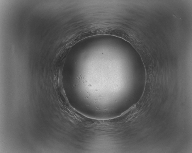 X0000062791109200512290215