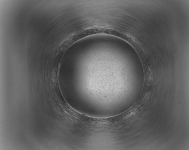 X0000062791110200512290215