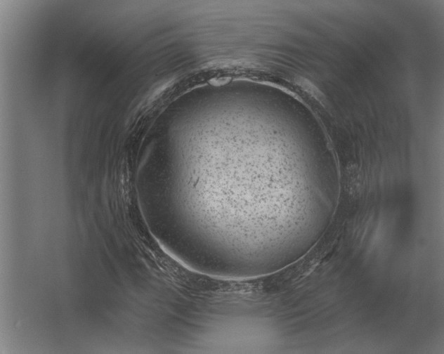 X0000062791111200512290215