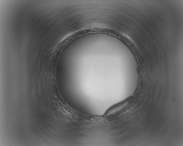 X0000062791112200512290215