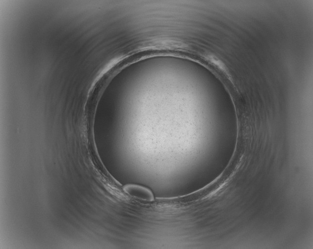 X0000062791114200512290215