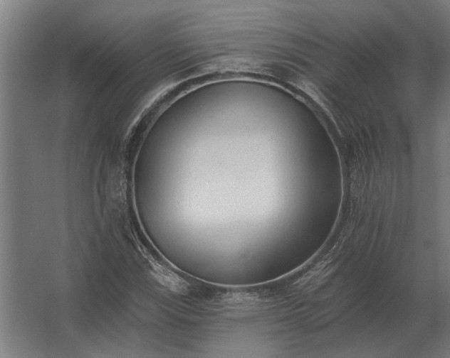 X0000062791115200512290215