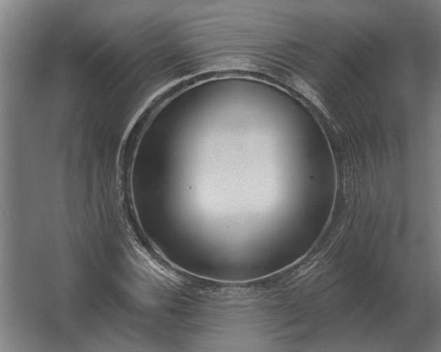 X0000062791116200512290215