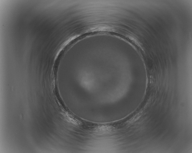 X0000062791117200512290215