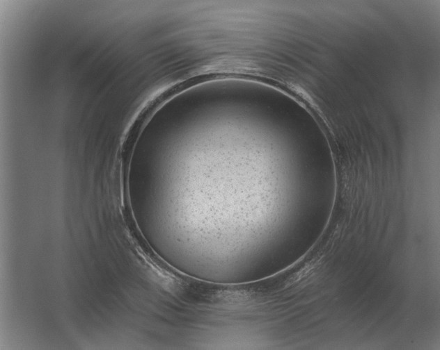 X0000062791123200512290215