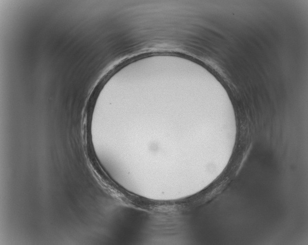 X0000062791126200512290215