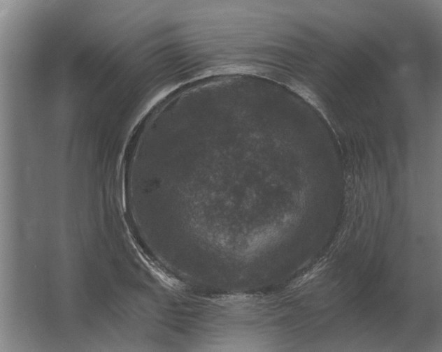 X0000062791127200512290215