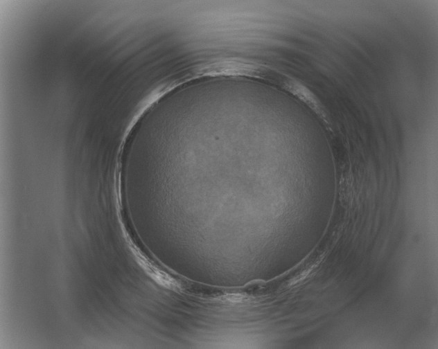 X0000062791130200512290216