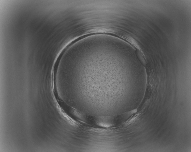 X0000062791132200512290216