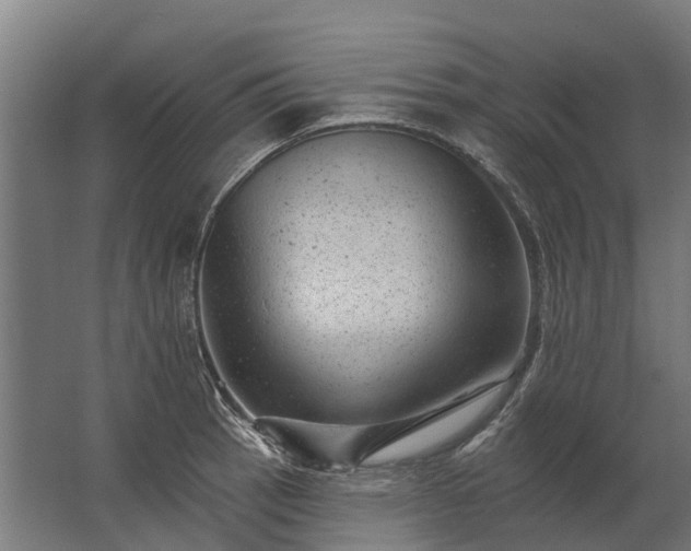 X0000062791137200512290216