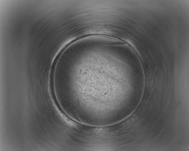 X0000062791139200512290216