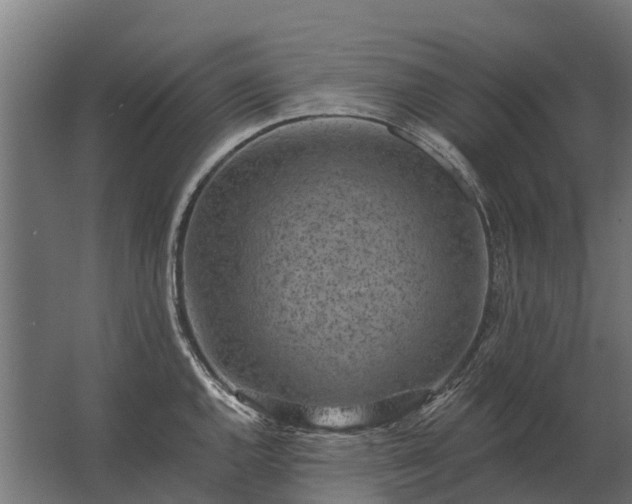 X0000062791144200512290216