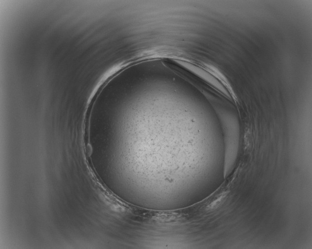 X0000062791146200512290216