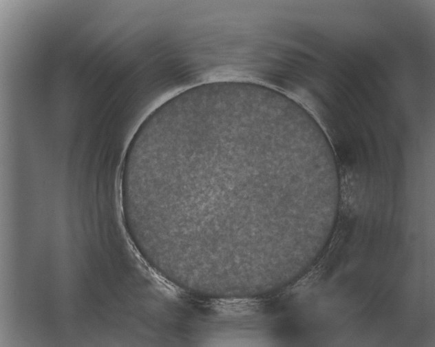 X0000062791150200512290216