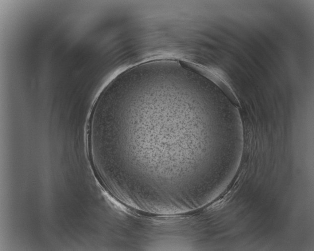 X0000062791151200512290216