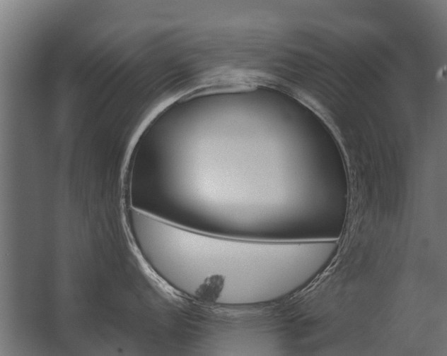 X0000062791152200512290216