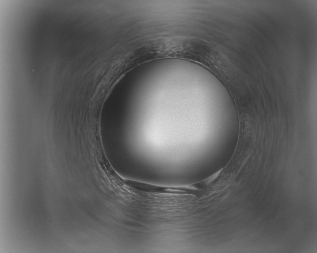 X0000062791153200512290215