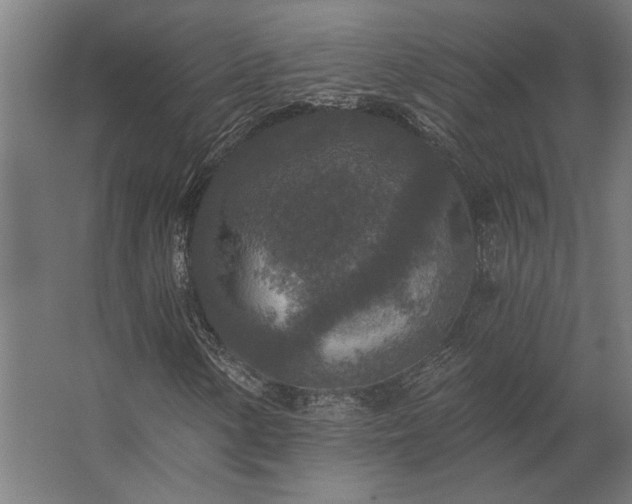 X0000062791154200512290215