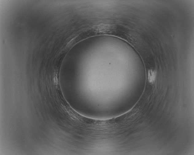 X0000062791155200512290215