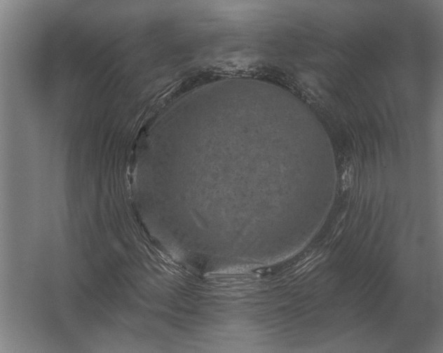 X0000062791156200512290215